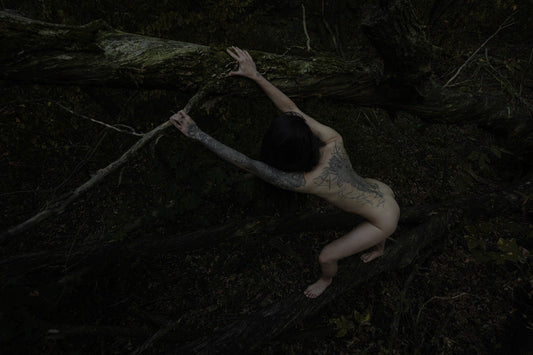 Lilith in the Garden by Tamara Safarova