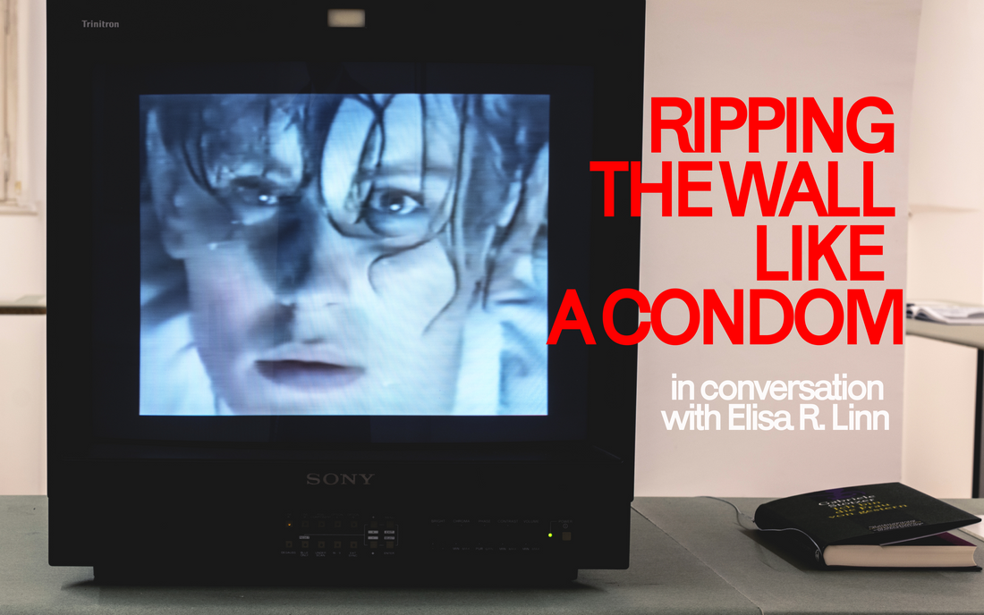 RIPPING THE WALL LIKE A CONDOM: IN CONVERSATION WITH ELISA R. LINN