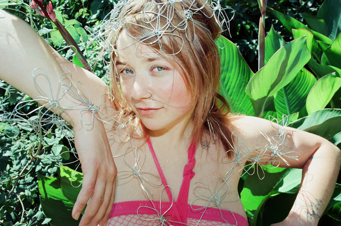 Thistle flower by Olena Shkoda