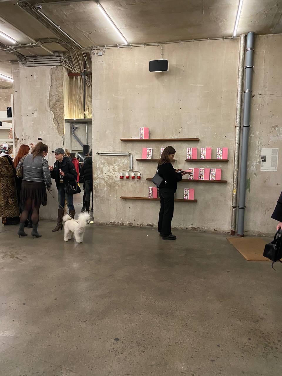 VooStore x Hrishnytsia 2023